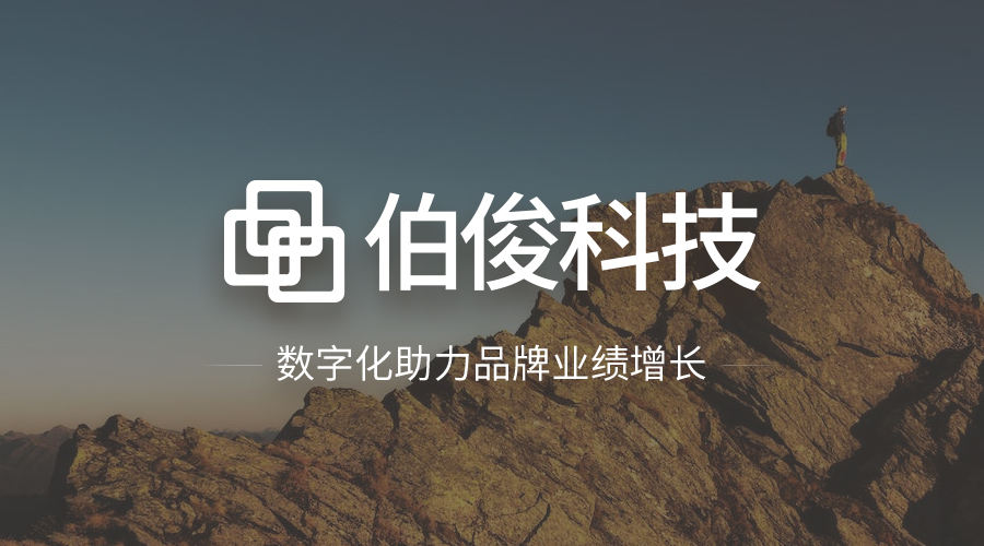 伯俊ERP運維服務，開啟專業(yè)運維新模式